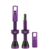 Peaty's Peaty´s Tubeless Ventiler 42 Mm Lilla / Violet